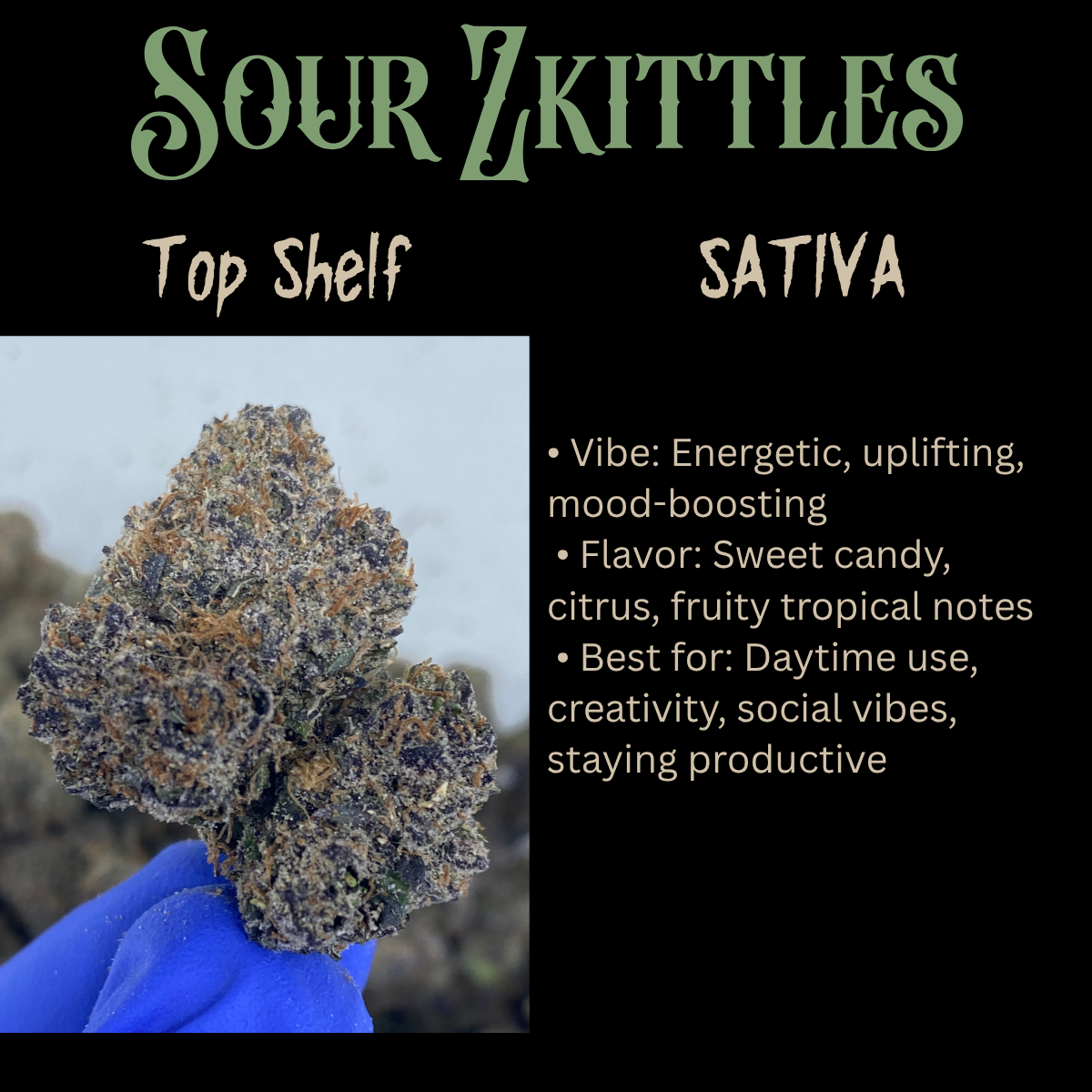 Top Shelf (Indoor exotic)
