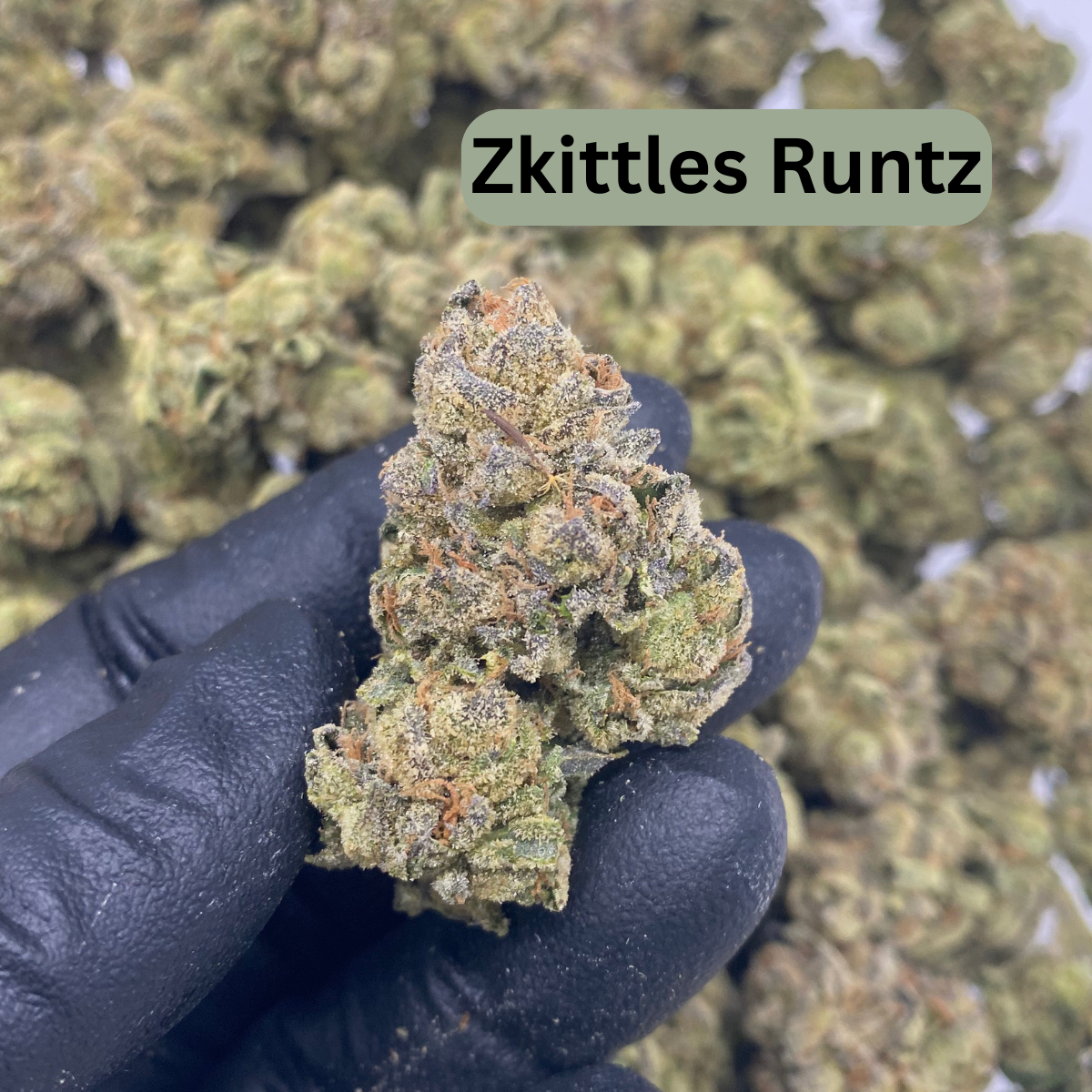 Daily Puffs