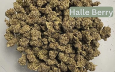 Top Shelf (Indoor exotic)