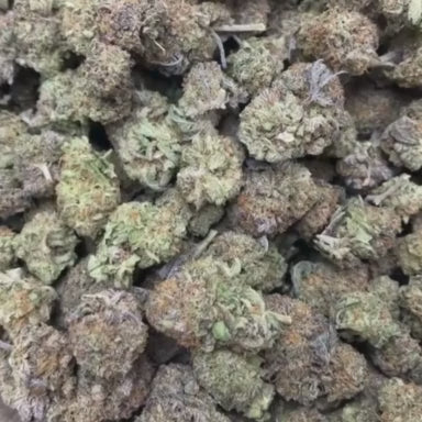 Obsidian Cookie (Indoor Exotic, Hand-Trimmed)